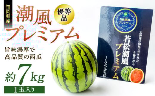 福岡県 北九州市若松産 【優等品】 潮風プレミアム 西瓜 約7kg (1玉入り)【2025年7月下旬～8月上旬発送予定】