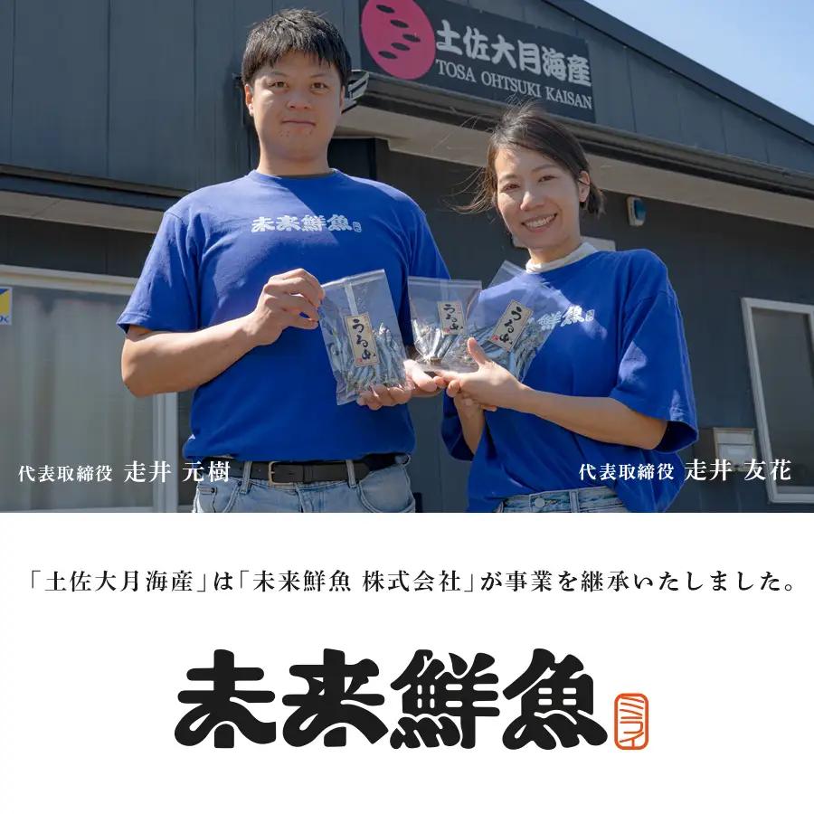 旬のお刺身用 柵セット 2-3種 高知 海鮮 盛り合わせ 食べ比べ 鮮度抜群 刺し身 グルメ 酒の肴