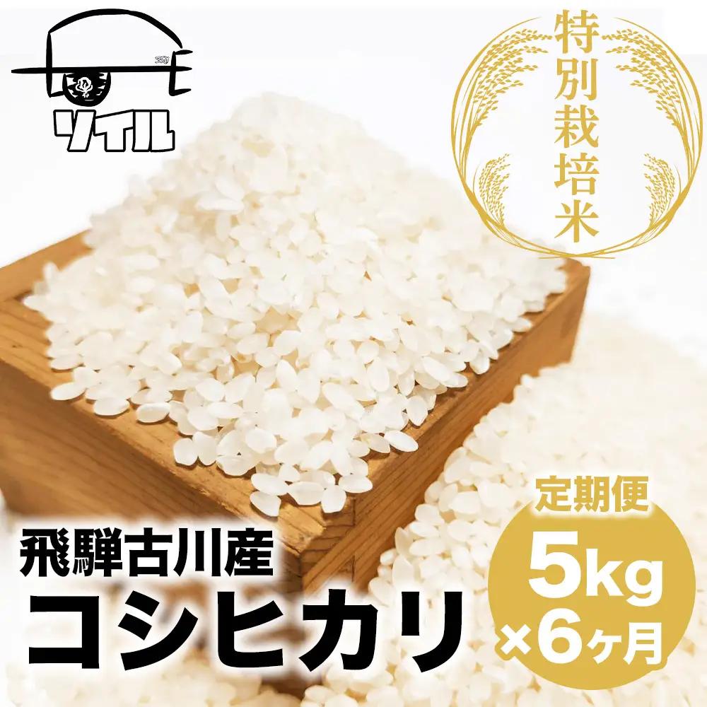 【米 定期便】 令和8年産 コシヒカリ白米 5kg×6か月 / 米 こしひかり ソイル 