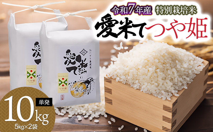 【令和7年産】【新米】特別栽培米 つや姫　10kg（5kg×2袋）　山形県鶴岡市産　愛米て