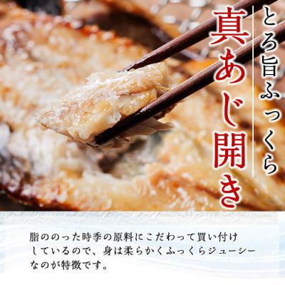 ふるさと納税 佐伯市 ギフト用品質!九州産ひもの真あじ開き (計10尾・5P) |  | 01