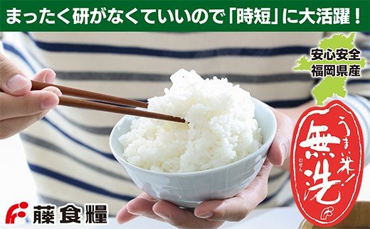 福岡の人気銘柄!!無洗米 福岡県産・元気つくし25kg 無洗米 むせんまい 米 コメ 25kg キャンプ 研がなくていい  5kg×5 TWR 25キロ 箱入り 手間なし カンタン 簡単 福岡 元気つ