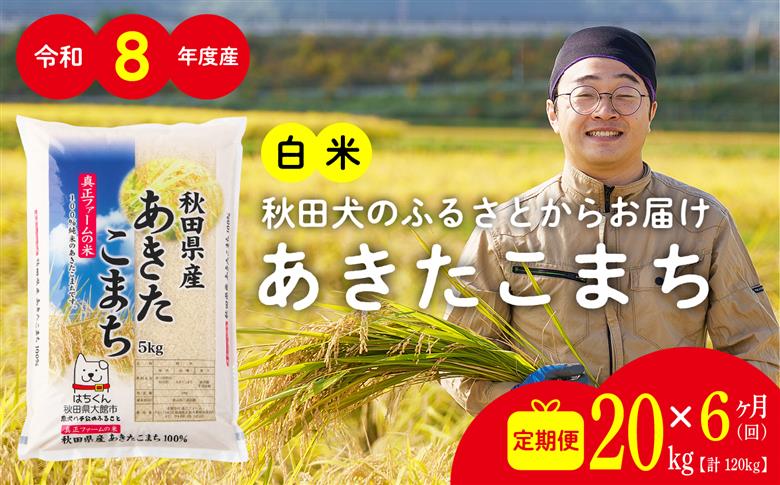 【定期便6ヶ月】令和8年産 秋田県産米「あきたこまち（白米）」 20kg（5kg×4袋）【真正ファーム】