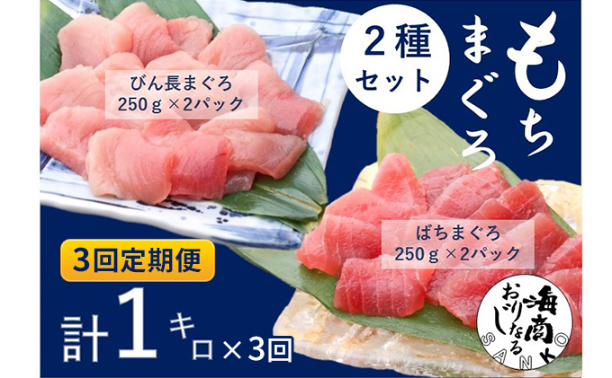 【3回定期便】バチマグロ切落し×びん長マグロ中トロ切落し 合計1kg（各250g×2パック）×3回【配送不可：離島】