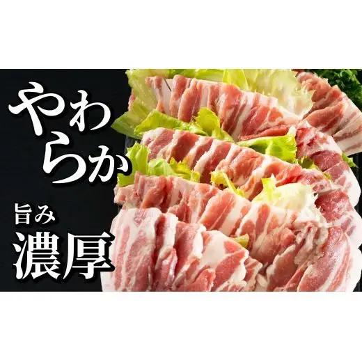 《定期便》長崎県産豚 バラ焼肉用 計1kg(500g×2)【6回お届け】