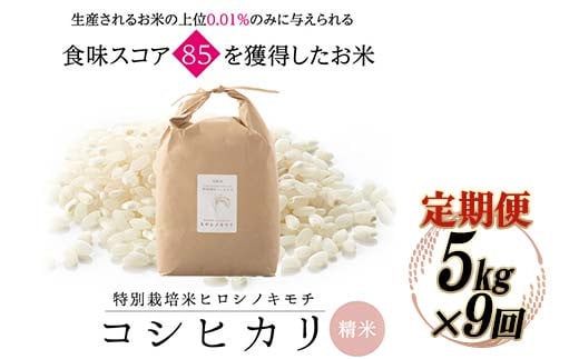 【9回定期】特別栽培米 コシヒカリ ヒロシノキモチ 精米 5kg 総計45kg ブランド米 銘柄米 国産 米 お米 日本米 ギフト 贈り物 備蓄 防災 食品 陽咲玲 はるざれ F6T-992