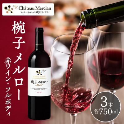ふるさと納税 上田市 椀子メルロー 750ml 3本 赤ワイン [54041150]