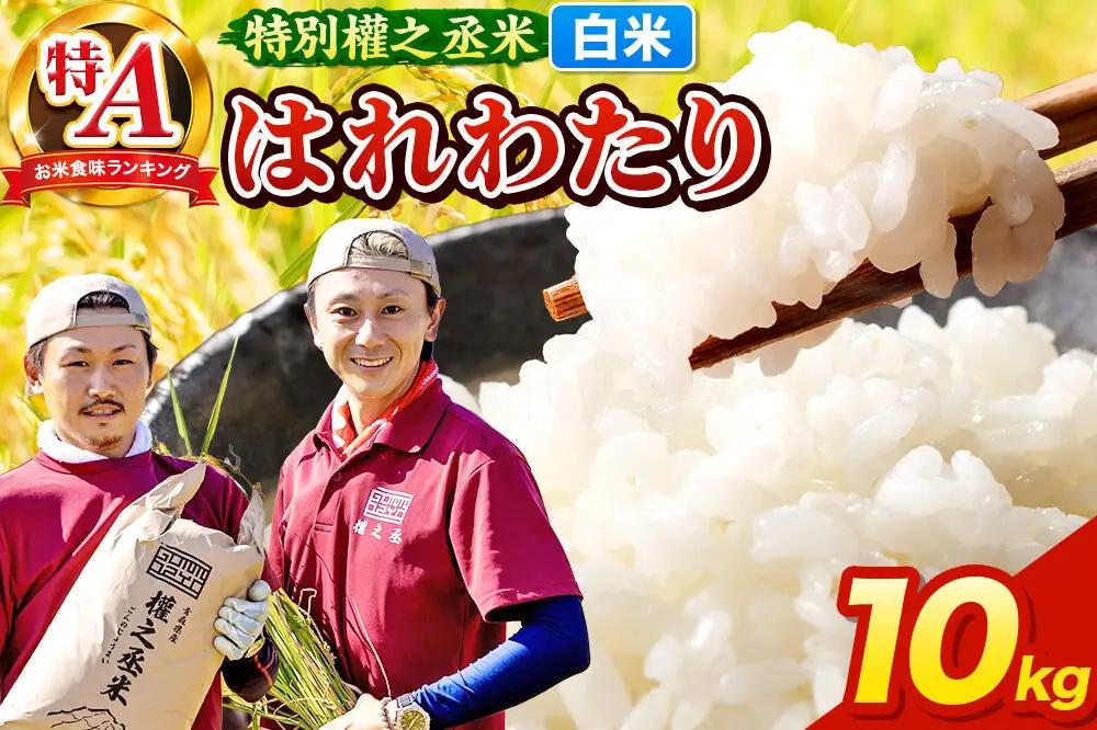 はれわたり 10kg［白米］特A 特別權之丞米 青森県産 令和7年産