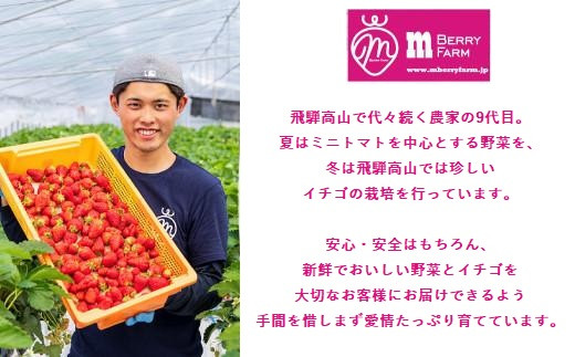 【いちご30粒】朝摘み! 濃厚紅ほっぺ 約350g×2パック（数量限定／先行予約／1月〜4月発送）| いちご フルーツ 甘い おいしい ハウス栽培 飛騨高山 m BerryFarm KL003