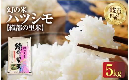 令和6年産 新米 ハツシモ 5kg 幻の 米 こめ ごはん 白米 岐阜県産 本巣市 お米  精米 おにぎり 弁当 【織部の里米(R)】寿司 おすすめ もとすファーム 先行予約