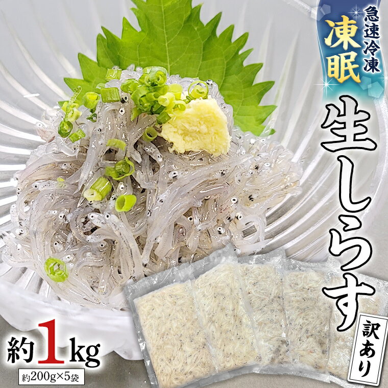 【ふるさと納税】 【先行予約 2026年5月発送予定】【凍眠】 冷凍 生しらす 約1kg 【訳あり】 しらす シラス 生シラス 新鮮 天然 小分け 魚介 海鮮 国産 刺身 真空 パック 訳あり 凍眠