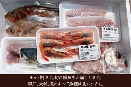 魚 富山湾直送 さばいた鮮魚セット 4～5種 旬 新鮮 鮮魚 刺身 詰め合わせ 産地直送 冷蔵/くろべ漁業協同組合 魚の駅「生地」/富山県 黒部市 海鮮 魚介類 魚介 