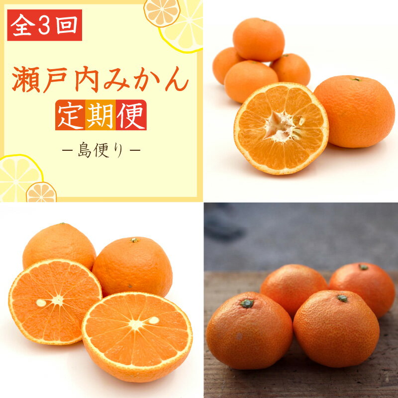 【ふるさと納税】 【全3回定期便】瀬戸内みかん 島便り | 石地みかん 完熟島いよかん カラマンダリン 温州みかん セット ていきびん 定期便 柑橘 みかん 蜜柑 mikan 檸檬 オレンジ おれんじ かんきつ 愛媛県 松山市 ココオ Koko'o