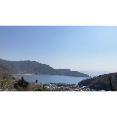ふるさと納税 呉市 希少品種 プリンス清見を使ったみかんワイン「kiyomi」 12本 |  | 02