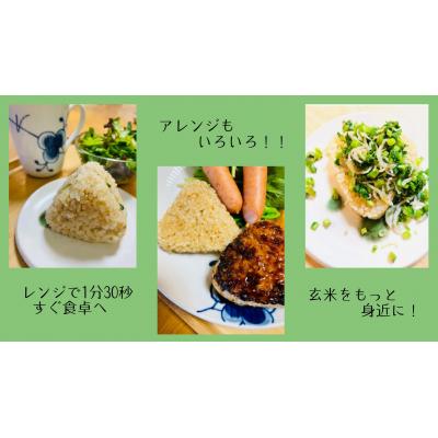 ふるさと納税 小山町 玄米deむすび　6パック |  | 02