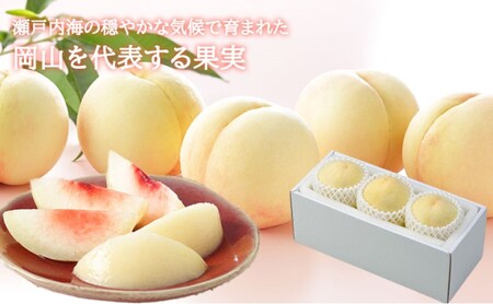 桃 2025年 先行予約 岡山 白桃 エース 3玉×200g（Lサイズ） 岡山県産 JAおかやまのもも  モモ 岡山県産 国産 フルーツ 果物 ギフト