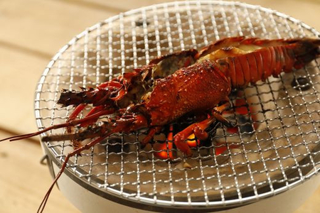 【数量限定】【匠の漁】伊勢えび・三崎アジ一夜干し特選セット（各2枚） 【 あじ アジ 一夜干し 伊勢海老 伊勢えび 】 IKTJ007