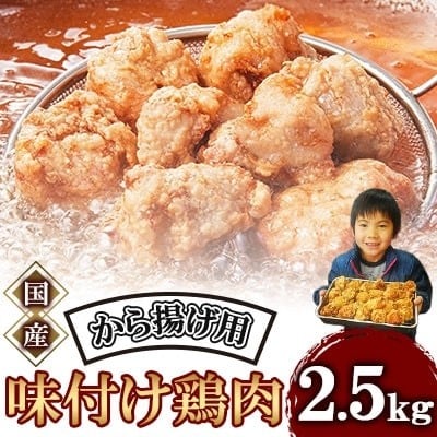 
            唐揚げ 2.5kg 冷蔵 新鮮 揚げるだけ もも 唐揚げ 味付け 鶏肉 肉 簡単調理 便利 時短 時短おかず お弁当 ジューシー カラアゲ karaage 国産 惣菜 そうざい おつまみ 2.5kg ごはん からあげ から揚げ 鶏肉 なだまさ  モモ肉 もも肉 福岡県 川崎町
          