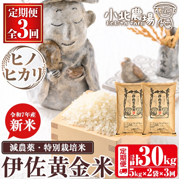 isa791 《数量限定・3回定期便》令和7年産 小北農場の新米 伊佐黄金米〈ヒノヒカリ〉(計30kg・5kg×2袋×3回) 鹿児島 伊佐 新米 お米 30kg 定期便 3回 特別栽培米 伊佐米 白米 ヒノヒカリ ひのひかり おにぎり ごはん  【小北農場】