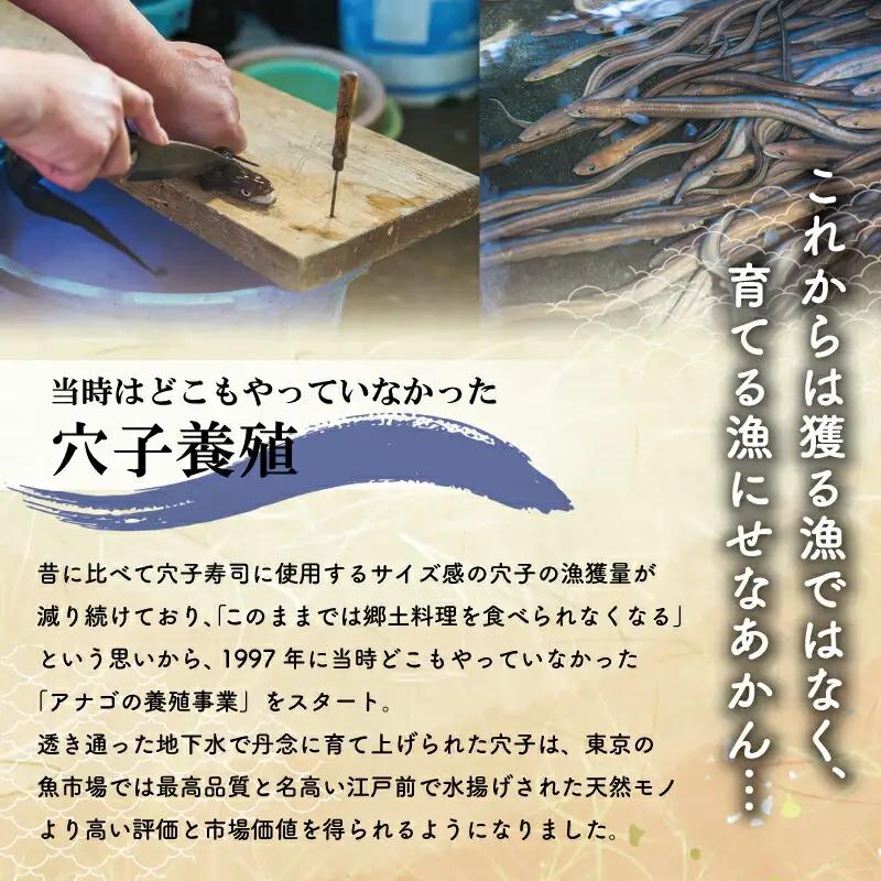干物 詰め合せ 貝 魚介 魚貝 海鮮 新鮮 人気 高級 珍味 おつまみ 干物 バカガイ アオヤギ  穴子 あなご アナゴ カレイ みりん干し I9