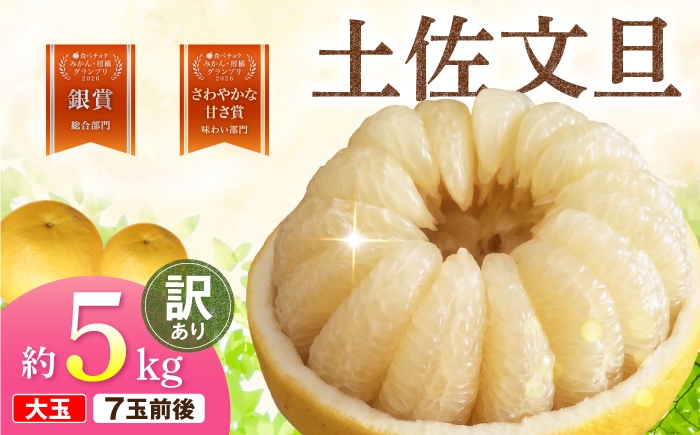 
                  【先行予約】文旦 家庭用大玉 5キロ 5kg（3L～上限なし：7玉前後）〈2027年1月20日～発送〉皮むき器付き 訳あり 文旦 ぶんたん フルーツ 果物 高知 土佐市 大玉【土佐水谷農園】 [BQBD008]
                