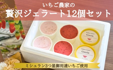 いちごジェラート 12個入 いちご イチゴ いちご イチゴ