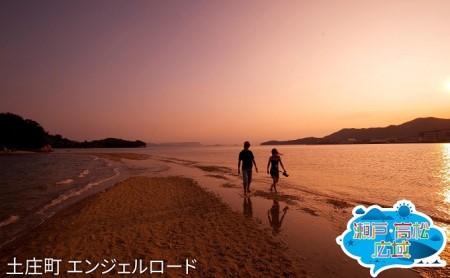 旅行券 アート島めぐり 香川県 観光 旅行券【2日間】