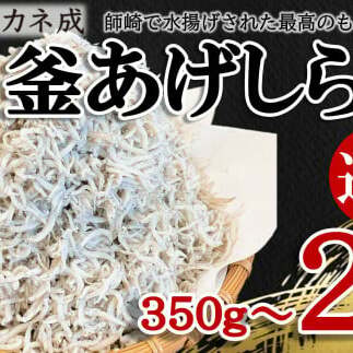 訳あり 釜揚げ しらす 350g～2kg 小分け  減塩 無添加 無着色 冷凍 愛知県 南知多町 ご飯 ごはん 丼 料理 国産 カネ成 シラス 人気 おすすめ