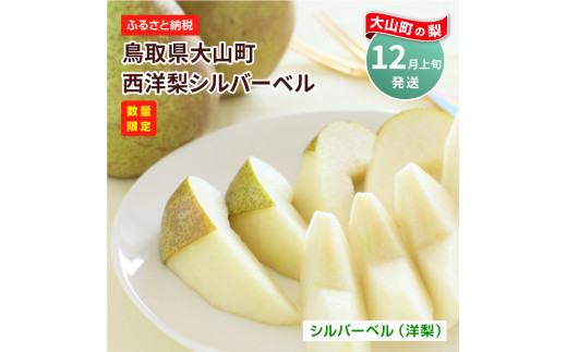 YN-01　鳥取県産洋ナシ シルバーベル4kg