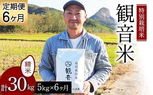 ＜定期便＞ 100年続く米農家 特別栽培米～観音米～ 5kg×6ヶ月連続 （令和7年産） 【マルサンファーム】 白米 精米 米 お米 おこめ コメ 東北 青森県 平内町 F21J-204