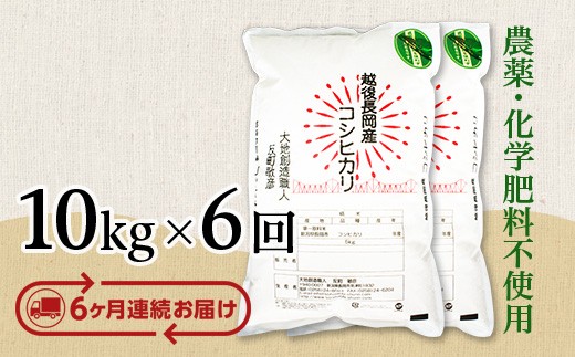 E1-S106B【6ヶ月連続お届け】新潟県長岡産コシヒカリ10kg