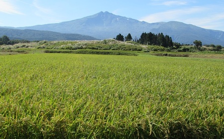 新米 米 お米 《定期便》2kg×8ヶ月 鳥海山の恵み！秋田県産 あきたこまち ひの米（精米）計16kg（2kg×8回連続）