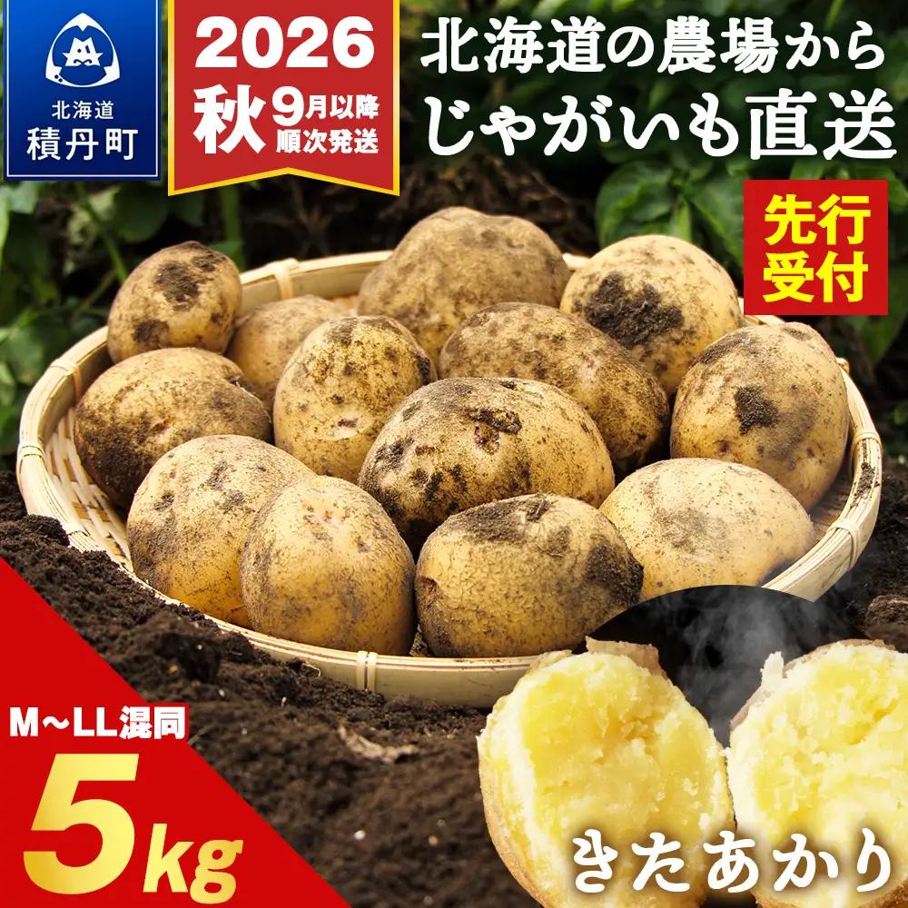 【先行予約 2026年9月より順次発送】北海道積丹町産 じゃがいも きたあかり5kg 栗じゃが ホクホク 農場直送 サイズ混合