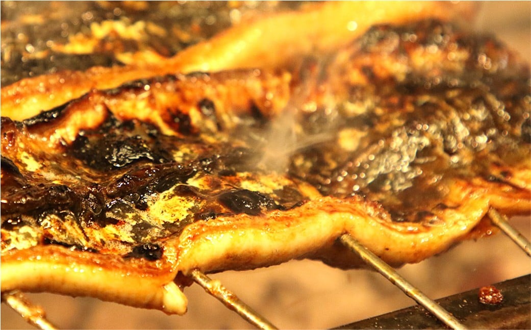 木曽三川ウナギの蒲焼 150g × 3尾 合計450g ／ うなぎ 鰻 ウナギ 国産 国産鰻 蒲焼 蒲焼き 鰻の蒲焼き 土用の丑の日 丑の日 良質 老舗 冷凍 三重県 桑名市