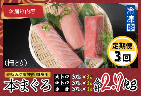 【定期便】【3ヶ月連続お届け】 刺身用！本マグロ堪能セット（柵どり）900g × 3回【最新の冷凍技術】