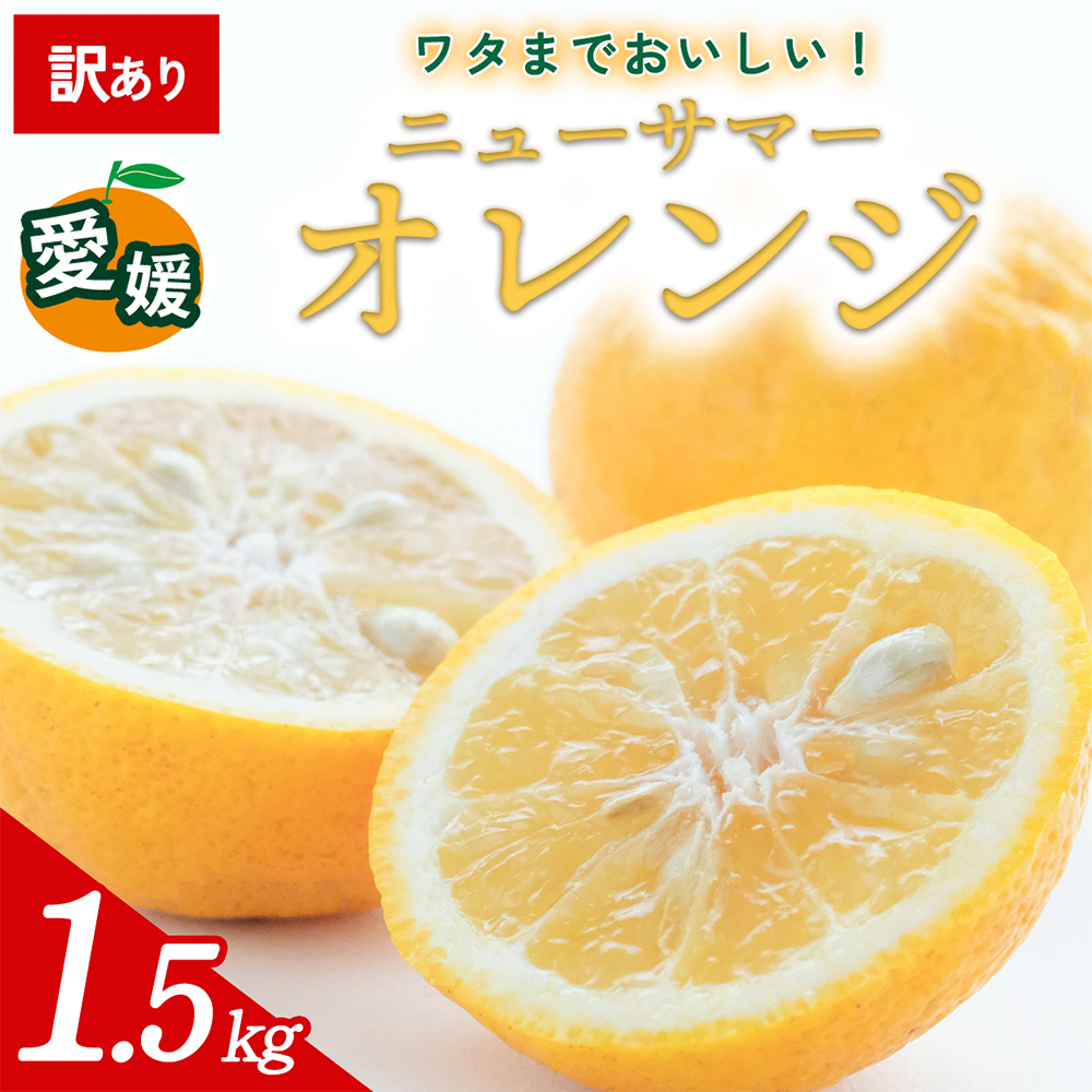 先行予約＜訳あり 愛媛県産 ニューサマーオレンジ 合計約1.5kg＞ 『2027年4月～5月順次出荷予定』日向夏 小夏 ご家庭用 ご自宅 蜜柑 果肉 果物 柑橘 フルーツ オレンジ 国産 濃厚 果汁 産地直送 ミヤモトオレンジガーデン 愛媛県 西予市【常温】