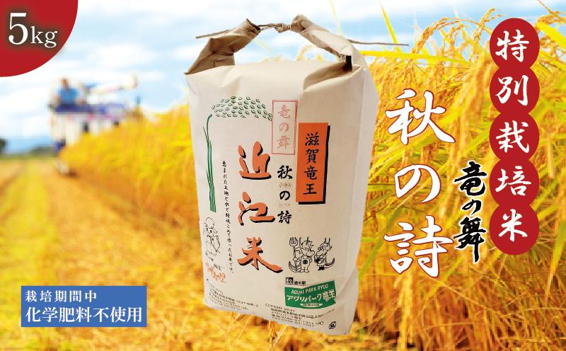 
新米 【令和6年10月中旬より順次発送】 秋の詩 白米 5kg 2024年産 竜の舞 化学肥料不使用 特別栽培米 国産 安心 安全 近江米 米 お米 白米 お弁当 玄米 産地直送 滋賀県 竜王町 送料無料
