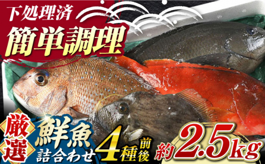 【期間限定！】対馬産 鮮魚 詰め合わせ 4種前後 2.5ｋｇ《対馬市》【対海】新鮮 天然 直送 冷蔵 セット [WAH021]