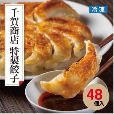 ふるさと納税 蒲郡市 千賀商店　特製餃子　2箱セット(48個入)_【G0704】
