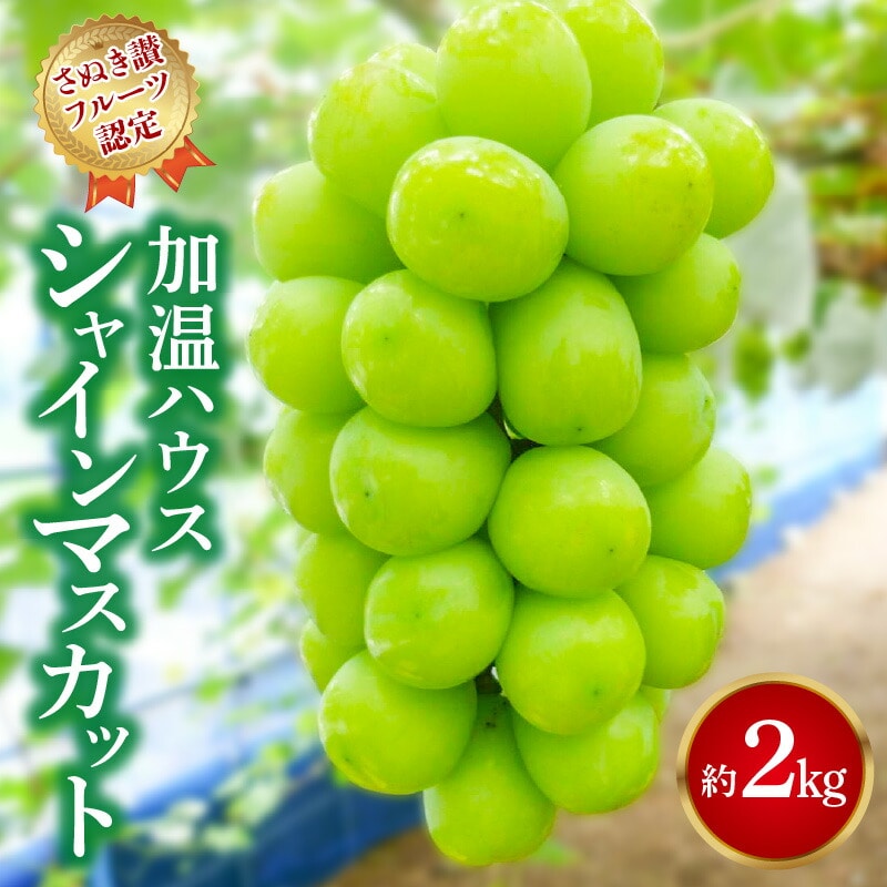 【ふるさと納税】【7月上旬から】【さぬき讃フルーツ】加温ハウス シャインマスカット 約2kg