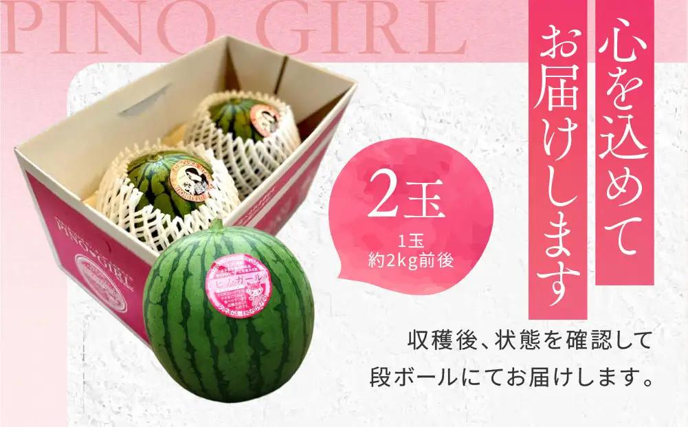 【先行予約】種ごと食べられる！小玉スイカ ピノ・ガール 2玉（1玉2kg前後×2玉）※着日指定不可 ※離島への配送不可 スイカ