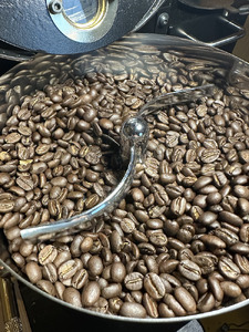 【定期便6ヶ月】世界各地をのみくらべ スペシャルティコーヒー豆 定期便 (各200g)