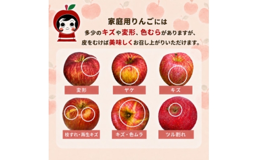 青森県黒石市産　サンふじ　家庭用2kg　りんごジュース1L1本【1782751】
