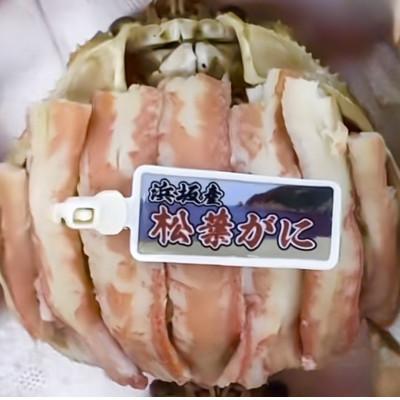 ふるさと納税 京丹後市 松葉ガニ　甲羅盛　2L