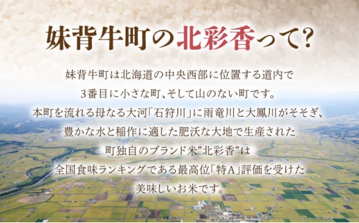 2026年4月発送 令和7年産 ななつぼし 白米 20kg (真空パック) 一括発送 【プレミアム北彩香】 一括　令和8年4月発送