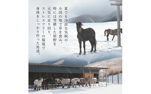【阿蘇牧場】熊本と畜 小国育ち 小国馬 地元産 馬刺し 阿蘇 熊本 小国 国産 阿蘇の大地 放牧馬 霜降り サシ 脂の旨み とろける 小分け 馬肉 200g 馬刺し醤油 150ml 専用醤油 七福醤油