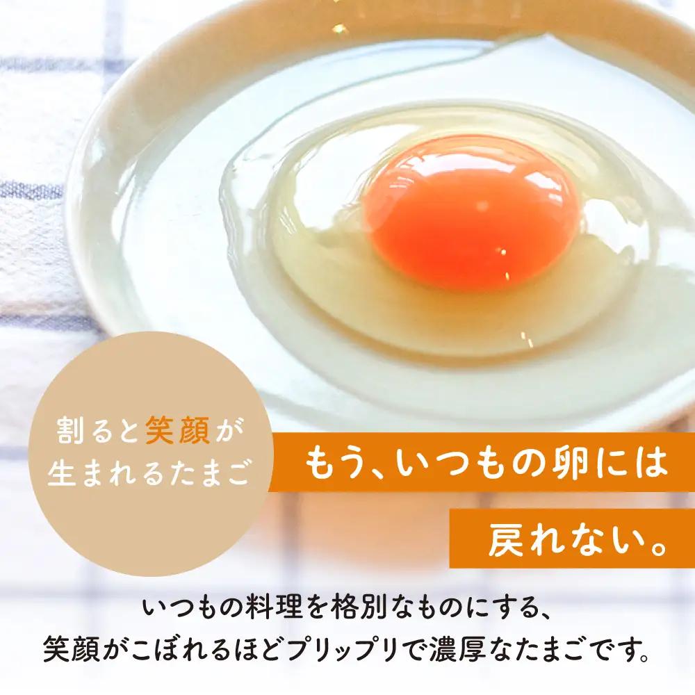 つまんでご卵 卵 大サイズ 40個 セット [AGA011] たまご
