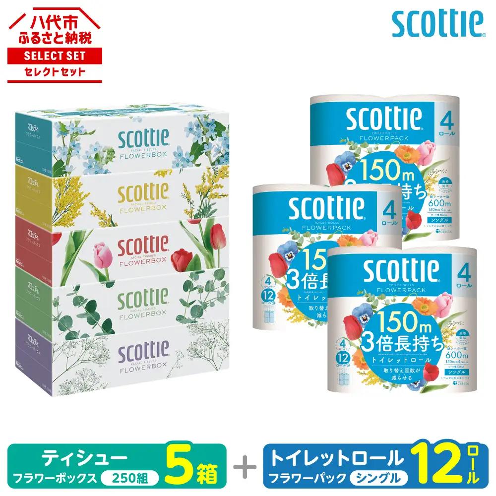 トイレットペーパー シングル 12ロール ＋ ティッシュ 5箱 セット スコッティ ティッシュ トイレット