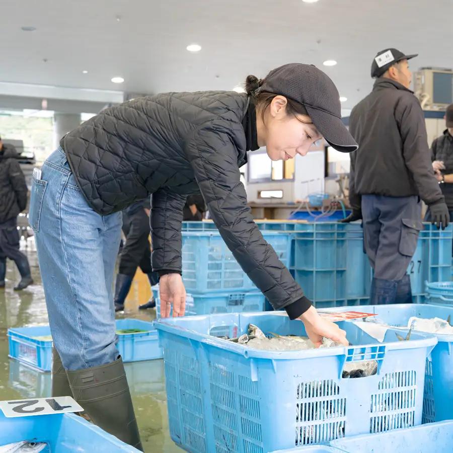 鮮魚 3kg- 鮮魚ボックス 詰め合わせ 刺身 刺し身 さしみ 鮮度抜群 産地直送 高知県産