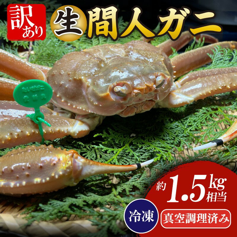 【ふるさと納税】間人漁港仲買人の丸友鮮魚三代目・自慢の間人ガニ【冷凍】生・訳アリ（ズワイガニ）[真空調理済み]